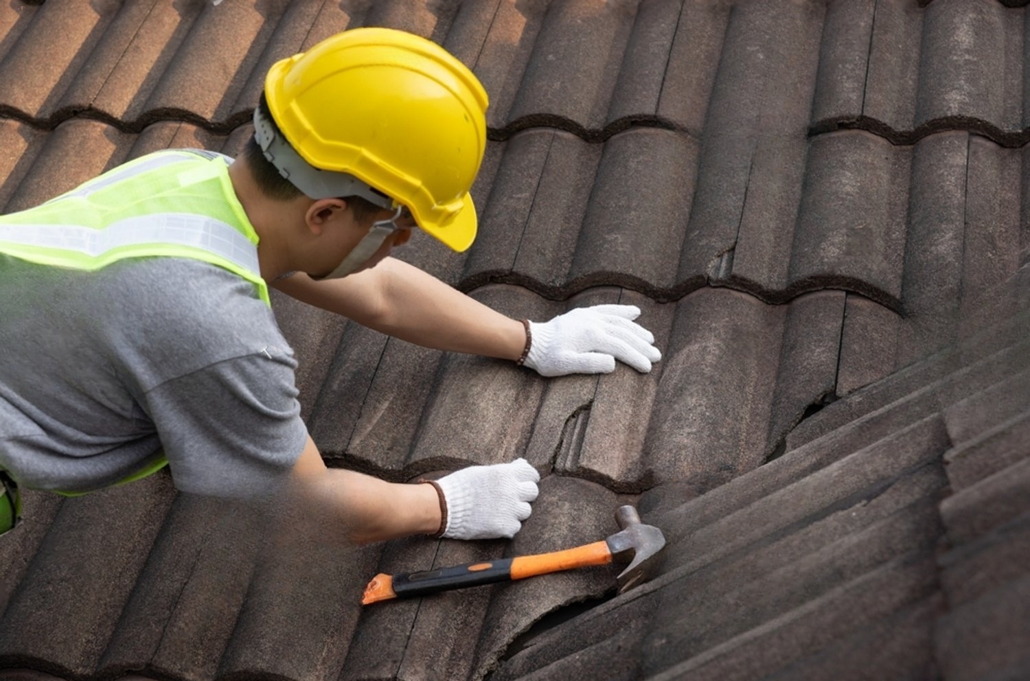 wmremove-transformed (6)